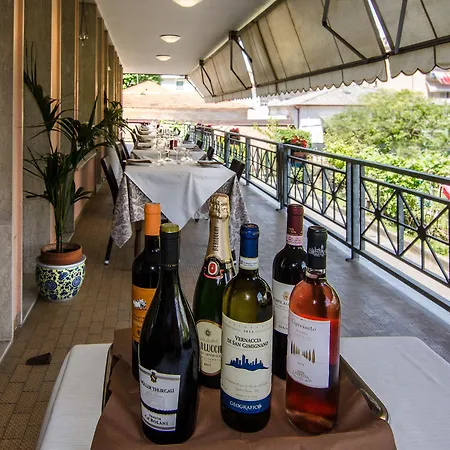 Otel Gabrini Marina di Massa
